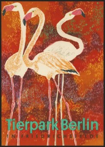 Berlin ZOO Pink Flamingos
